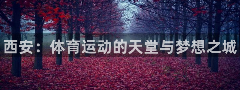 oety欧亿体育官网下载平台注册要钱吗：西安：体育运