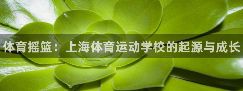 oety欧亿体育官网下载平台注册流程图：体育摇篮：上