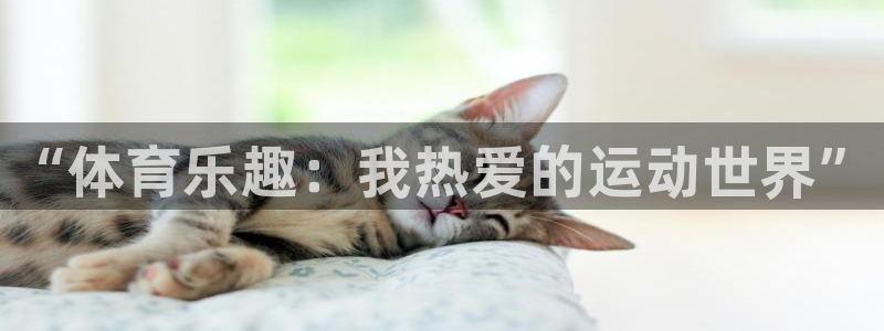 欧亿体育官方正版app娱乐下载：“体育乐趣：我热爱的运动世界