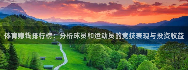 欧亿体育官方正版app集团：体育赚钱排行榜：分析球员