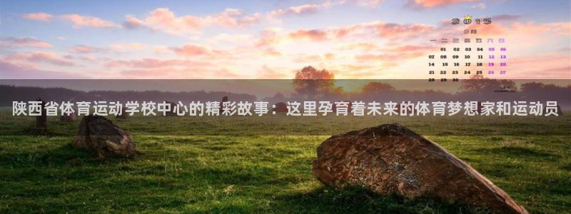 欧亿体育官方正版app新能源：陕西省体育运动学校中心