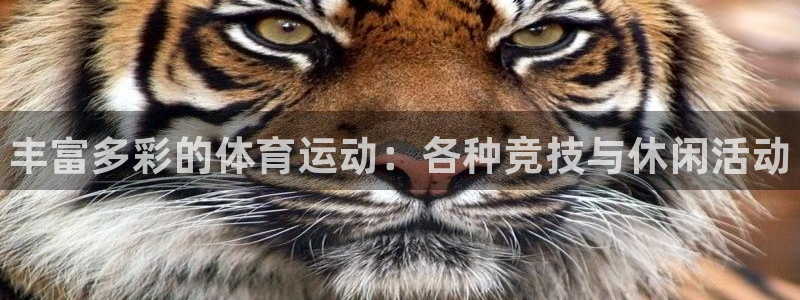 oety欧亿体育官网下载招商电话是多少：丰富多彩的体
