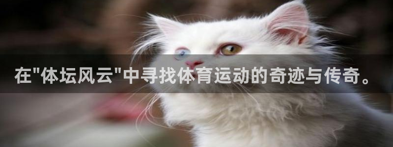 欧亿体育官方正版app集团E.ON：在\