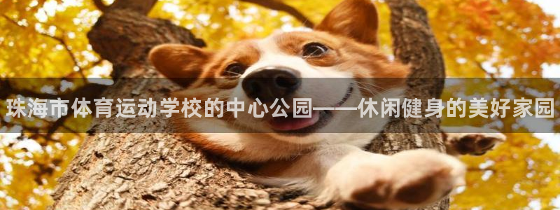 oety欧亿体育官网下载平台假的吗是真的吗吗：珠海市