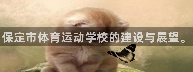 欧亿体育官方正版app娱乐是那个系列的台子：保定市体