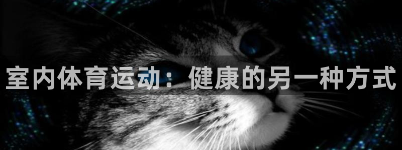 欧亿体育官方正版app官网：室内体育运动：健康的另一种方式