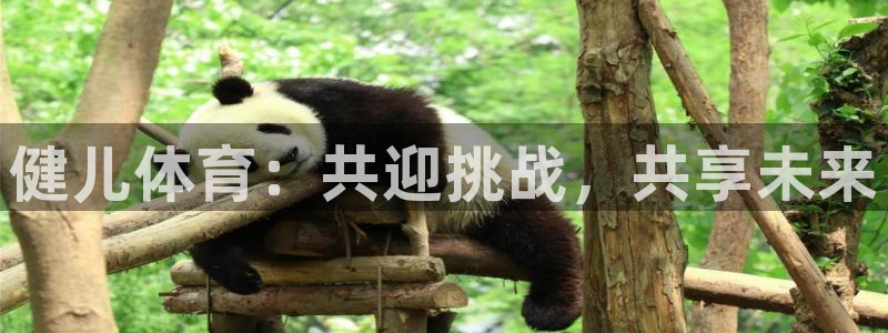 欧亿体育官方正版app集团logo：健儿体育：共迎挑战，共享