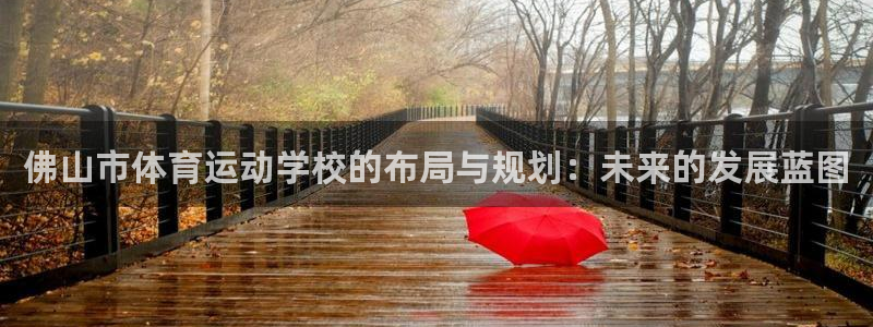 欧亿体育官方正版app娱乐：佛山市体育运动学校的布局与规划：