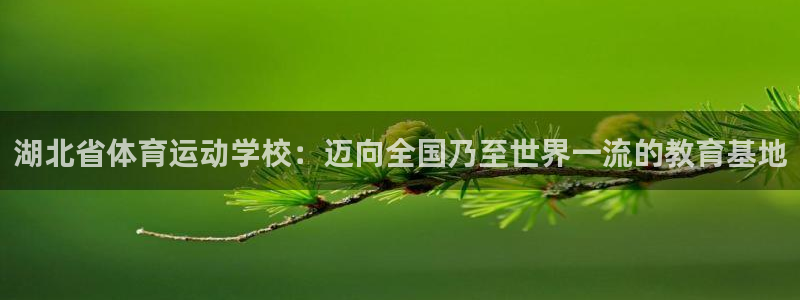 欧亿体育官方正版app娱乐首页官网下载