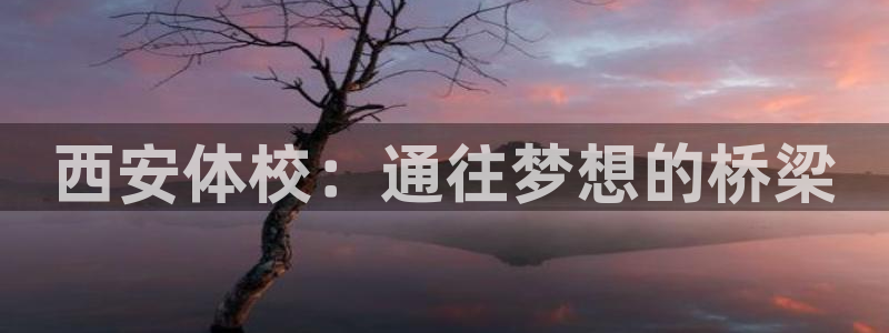 oety欧亿体育官网下载是干嘛的公司：西安体校：通往梦想的桥