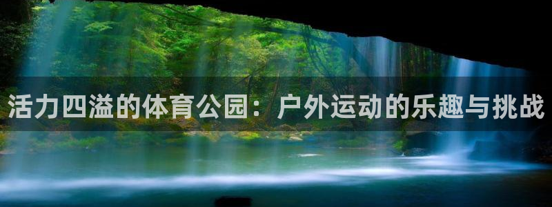 oety欧亿体育官网下载平台注册流程图：活力四溢的体育公园：