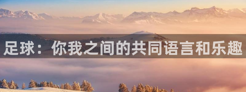 oe欧亿下载：足球：你我之间的共同语