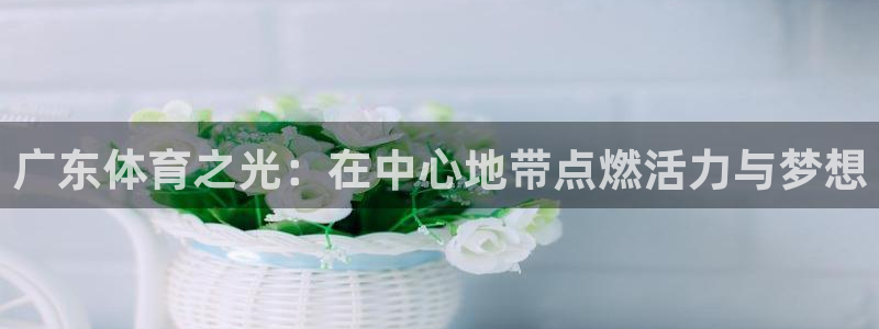 欧亿国际app下载：广东体育之光：在