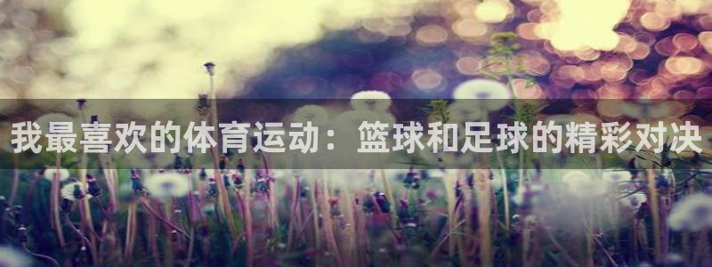 欧亿在线登录注册：我最喜欢的体育运动