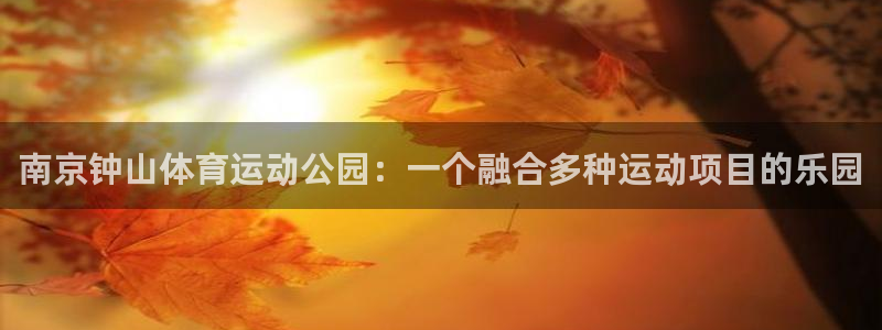 欧亿3内部：南京钟山体育运动公园：一