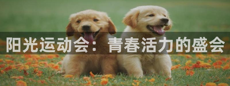 最新欧亿app官方下载安装：阳光运动
