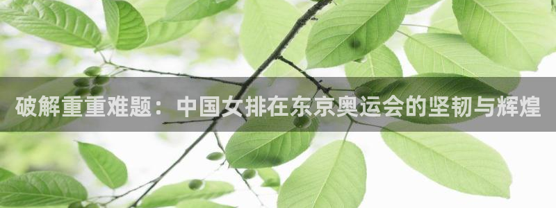 欧亿官网登录入口：破解重重难题：中国