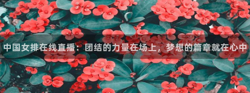 jrkan视频直播nba