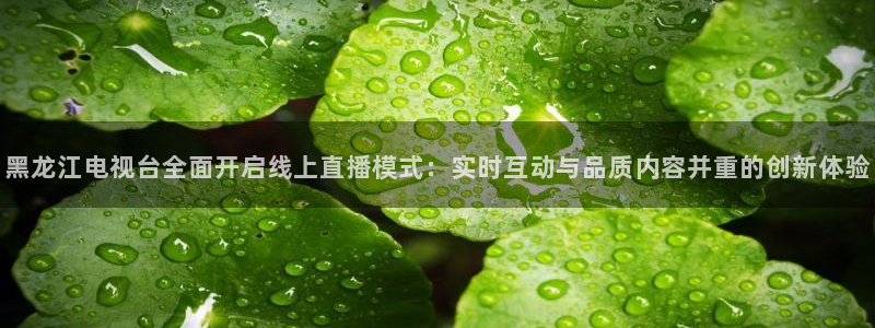 jrkan nba直播：黑龙江电视台全面开启线上直播模式：实时互动与品质内容并重的创新体验