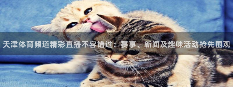 jrkan视频直播nba：天津体育频道精彩直播不容错过：赛事、新闻及趣味活动抢先围观